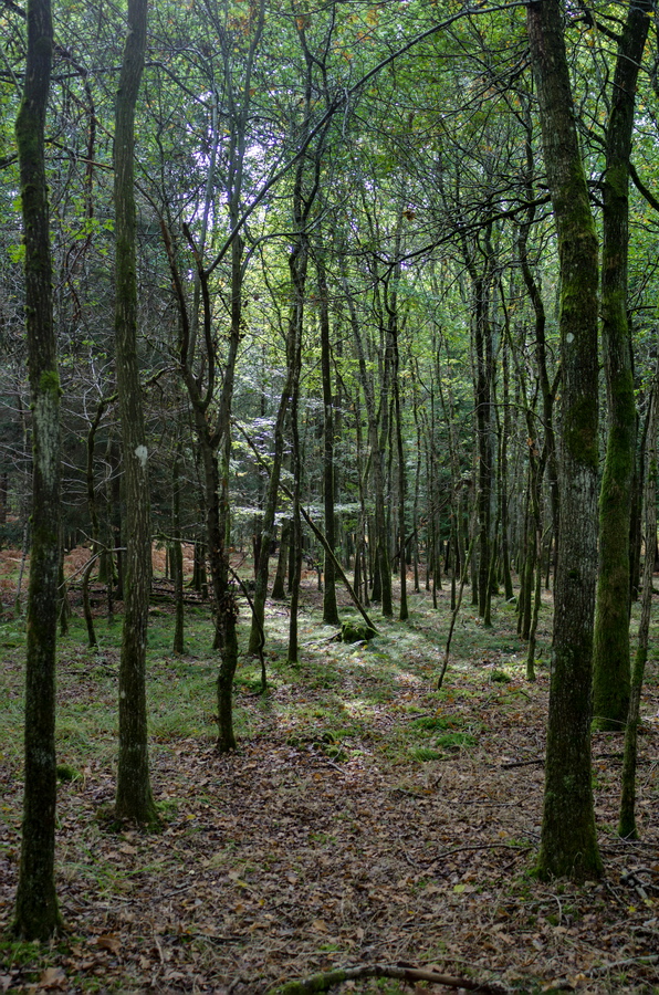 K5_15698HDR.jpg